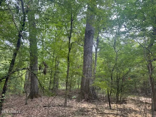 1270 Hwy 469 Pearl, MS 39208