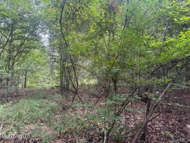 1270 Hwy 469 Pearl, MS 39208