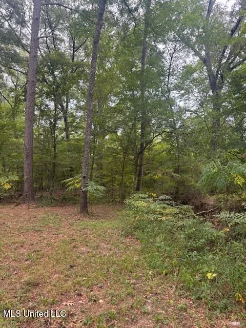1270 Hwy 469 Pearl, MS 39208