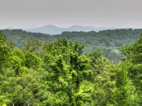 3.20 ac Hidden Acres