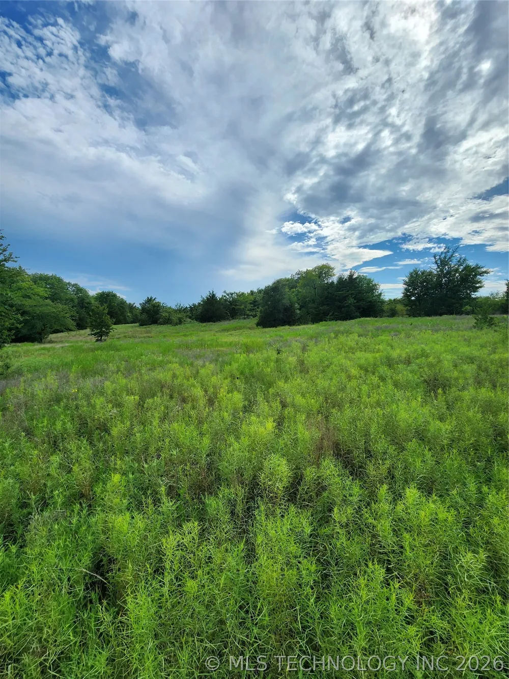 8353 Knobb Road Kingston, OK 73439
