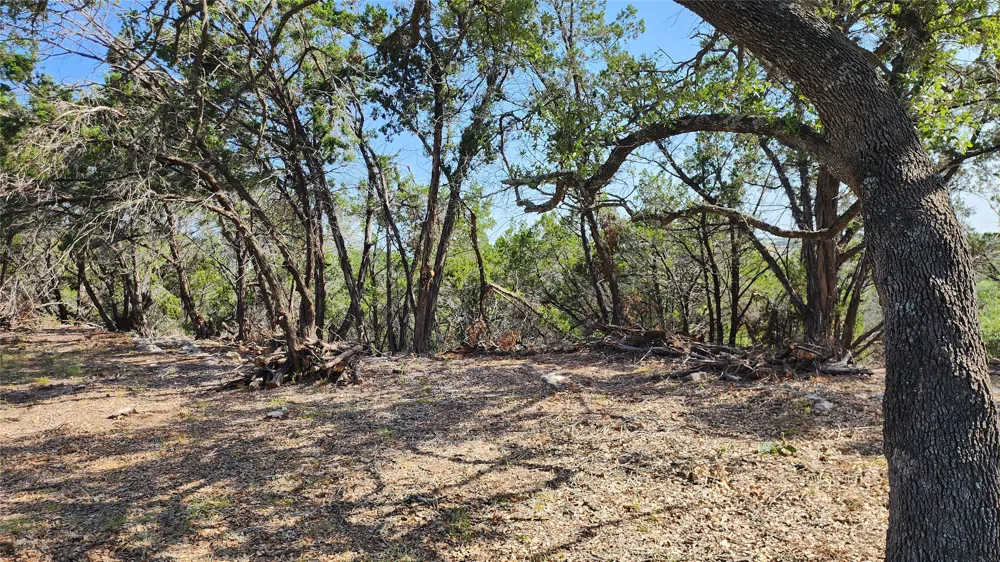 104 Stonegate Lane Dripping Springs, TX 78620