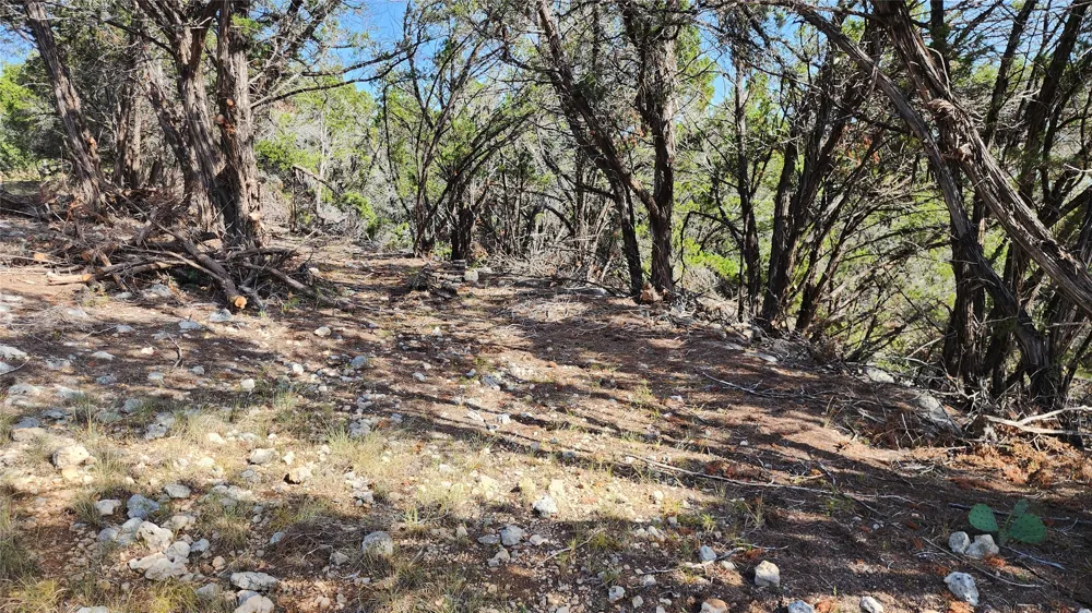 104 Stonegate Lane Dripping Springs, TX 78620