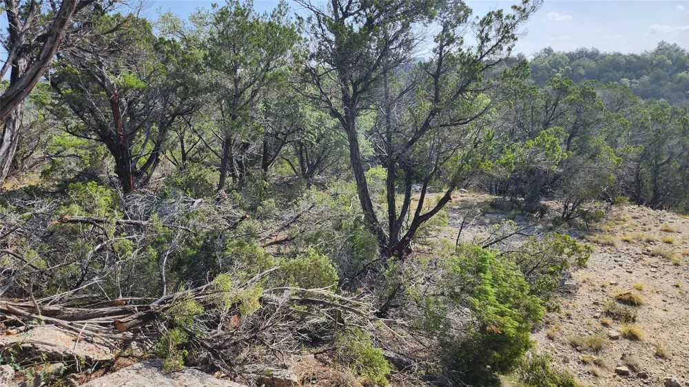104 Stonegate Lane Dripping Springs, TX 78620