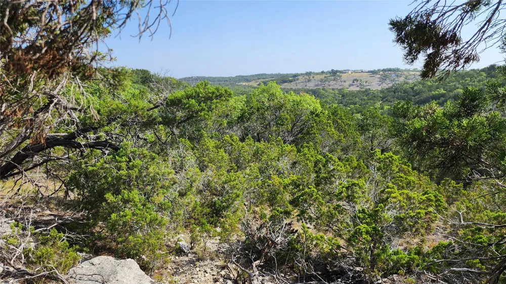 104 Stonegate Lane Dripping Springs, TX 78620