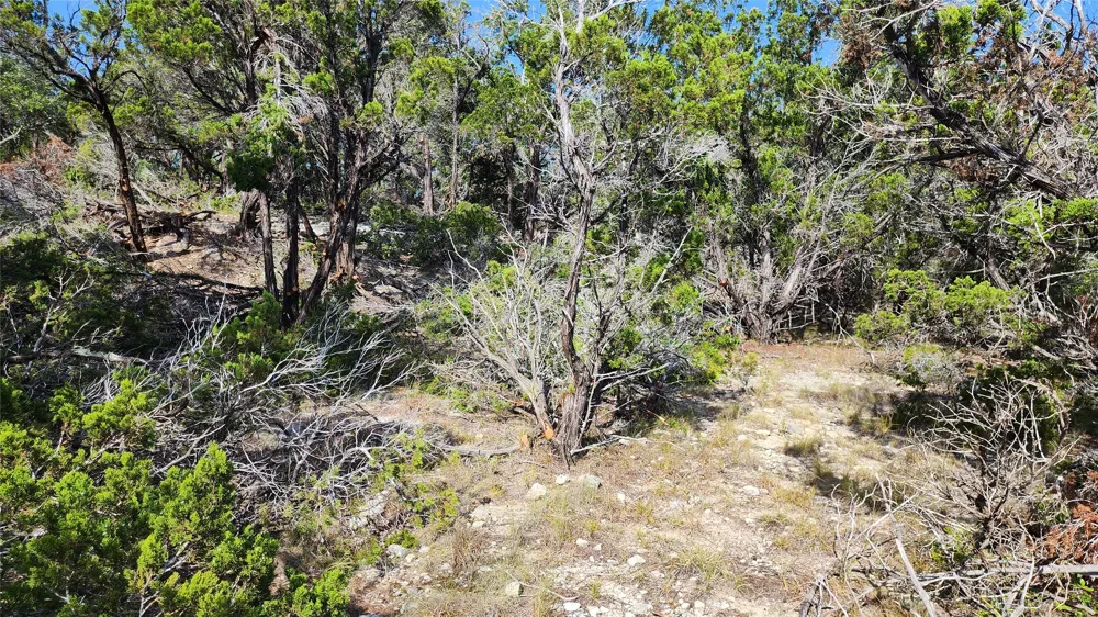 104 Stonegate Lane Dripping Springs, TX 78620