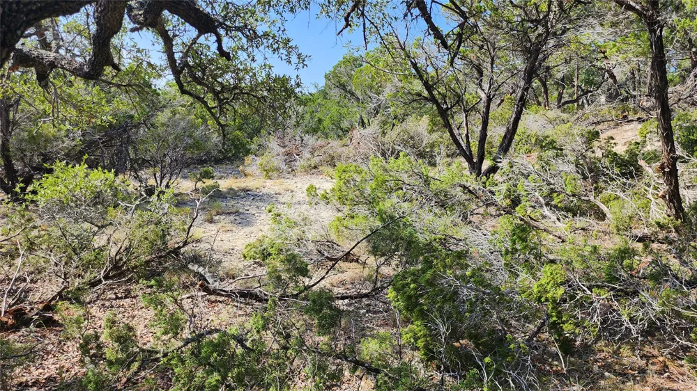 104 Stonegate Lane Dripping Springs, TX 78620