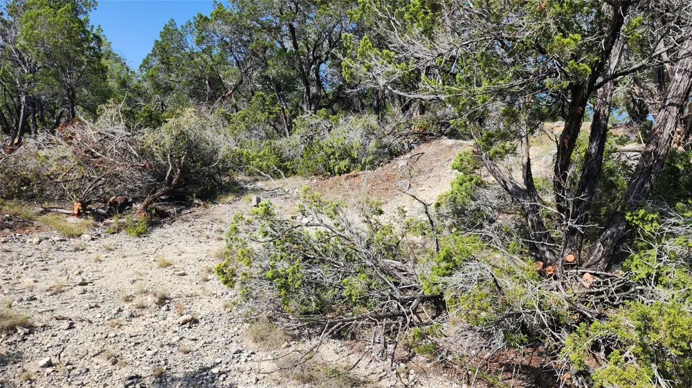 104 Stonegate Lane Dripping Springs, TX 78620