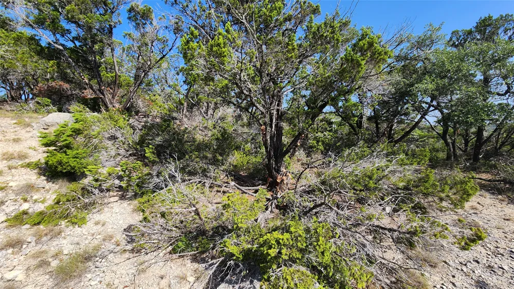 104 Stonegate Lane Dripping Springs, TX 78620