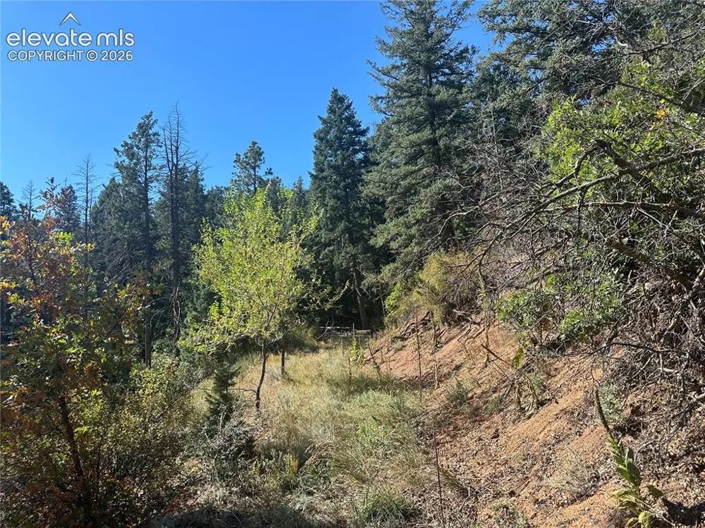 270 Upper Sun Valley Road Manitou Springs, CO 80829