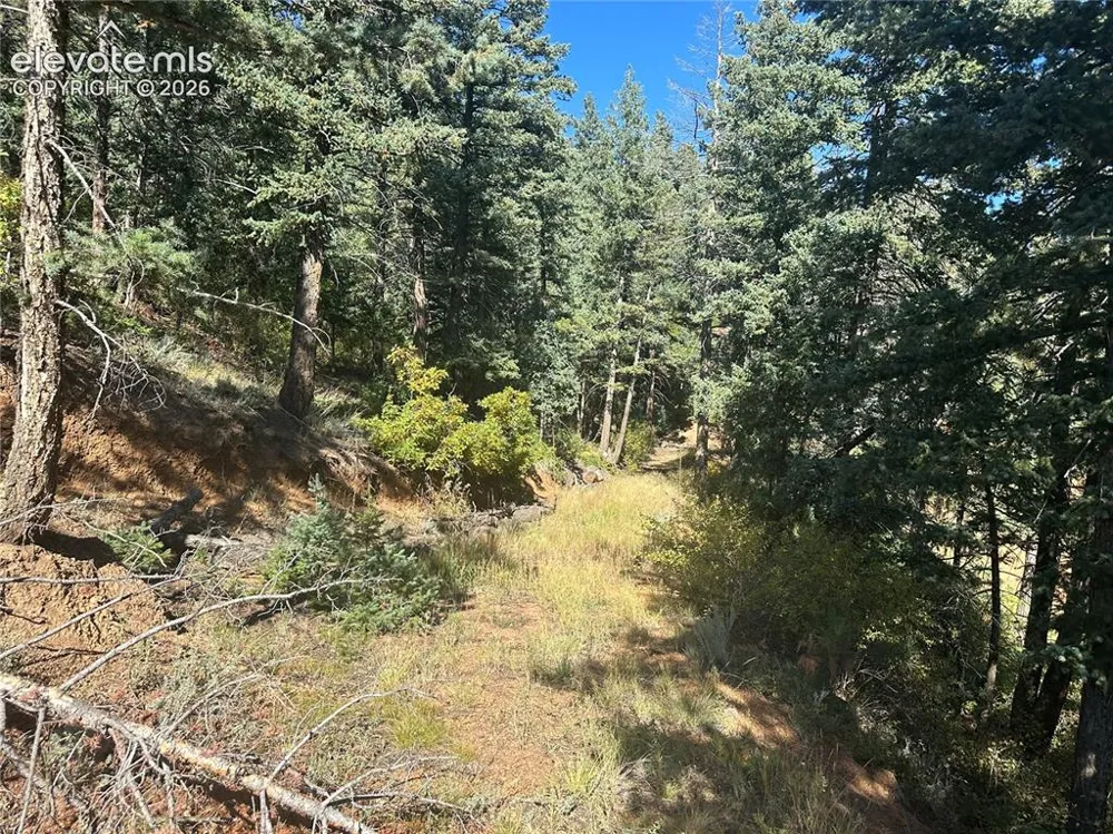 270 Upper Sun Valley Road Manitou Springs, CO 80829