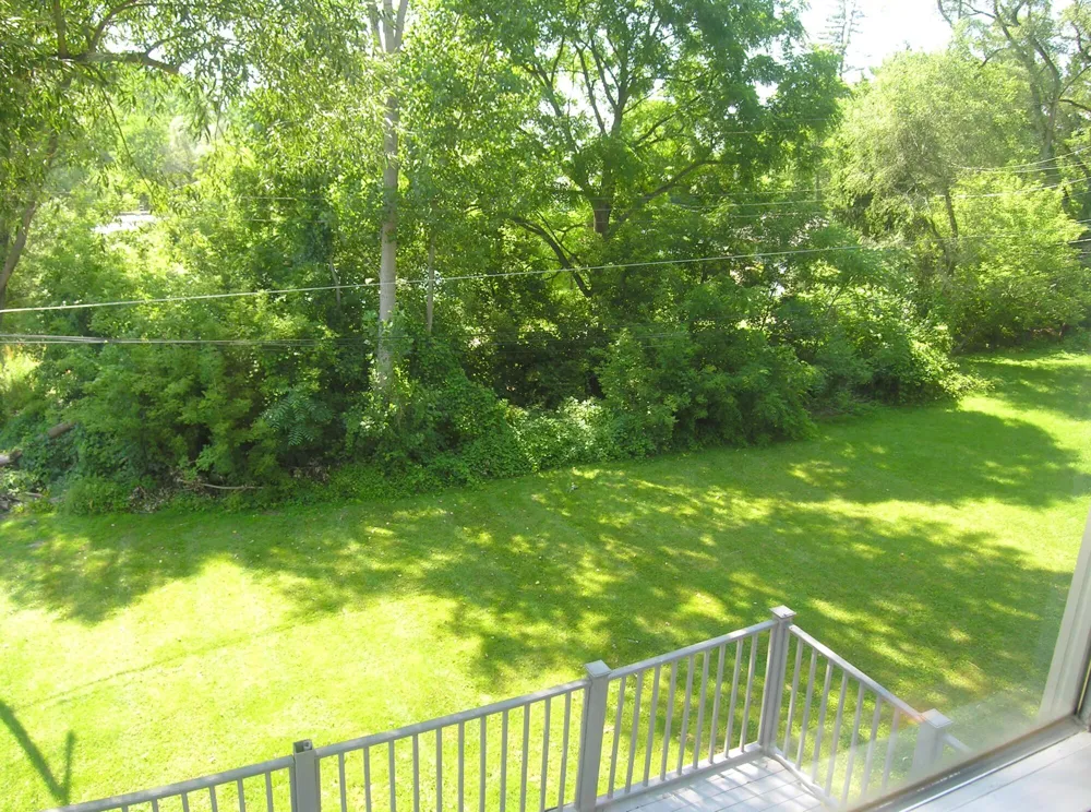 60 Luella Avenue Scio Township, MI 48103