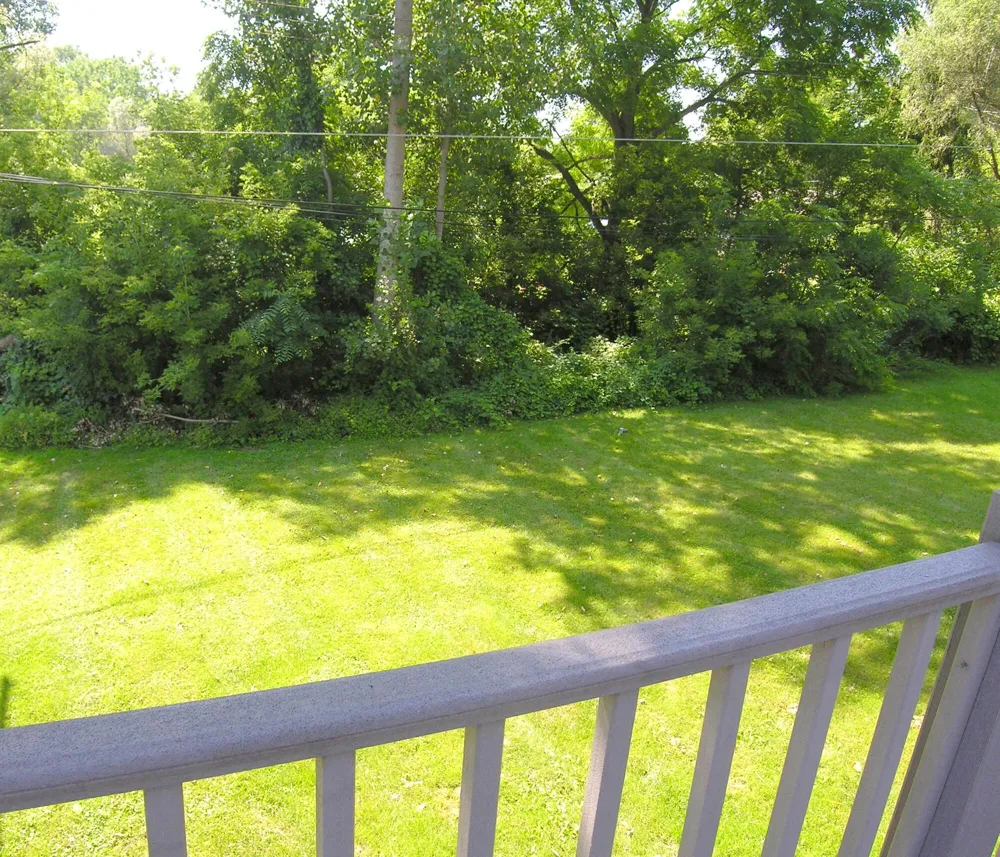 60 Luella Avenue Scio Township, MI 48103
