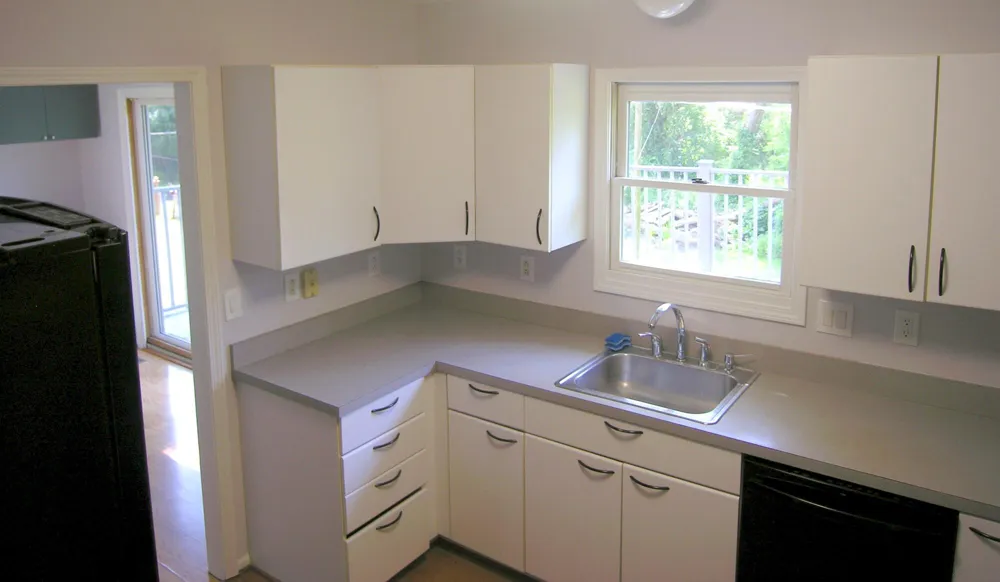 60 Luella Avenue Scio Township, MI 48103
