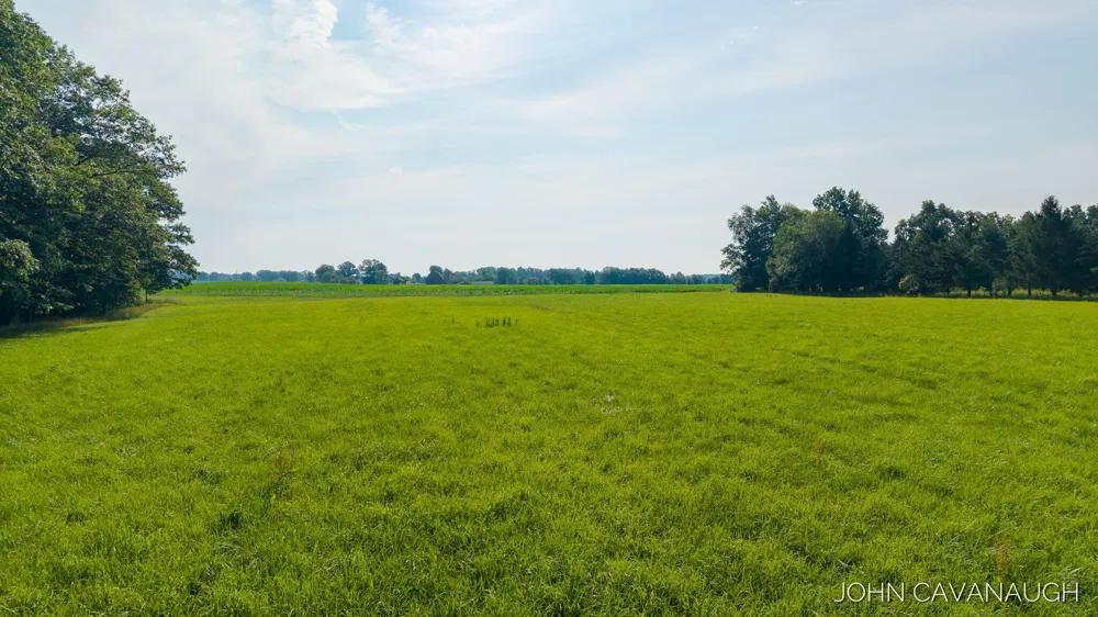 9516 Taft Street Polkton Charter Township, MI 49404