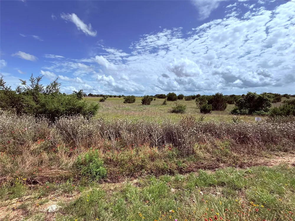 184 Gilmore Court Lipan, TX 76462