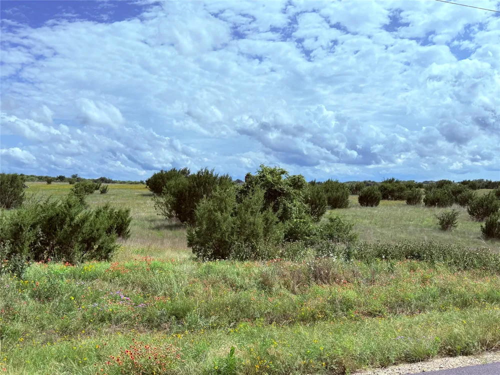 184 Gilmore Court Lipan, TX 76462
