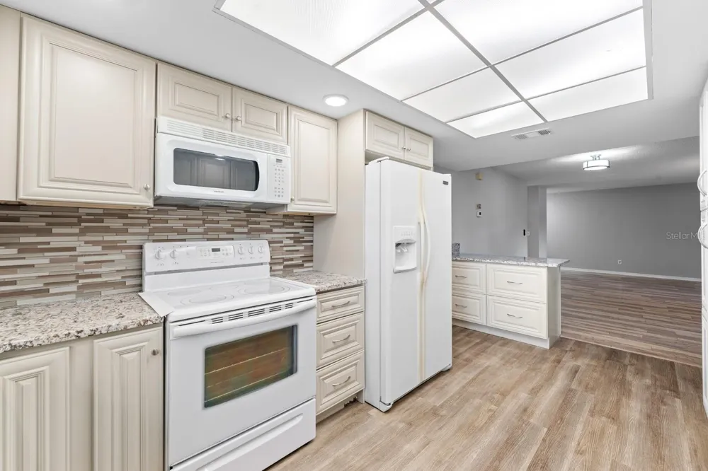 1409 LANGLEY DRIVE #1409 Sun City Center, FL 33573
