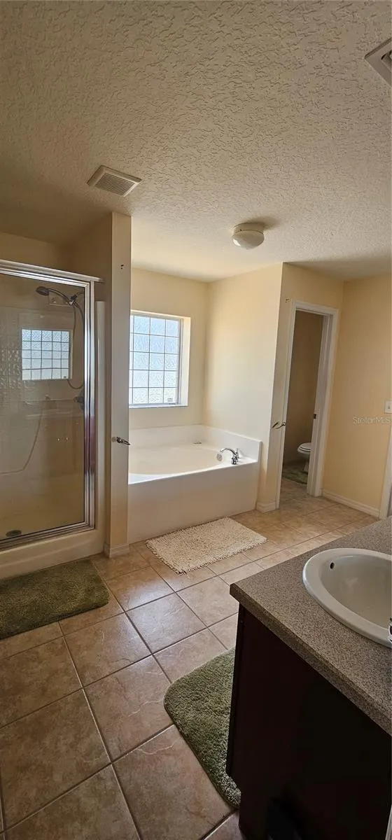 23705 MILFORD DRIVE Eustis, FL 32736