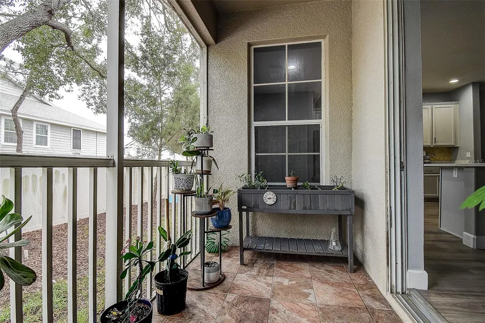 1426 HILLVIEW LANE Tarpon Springs, FL 34689