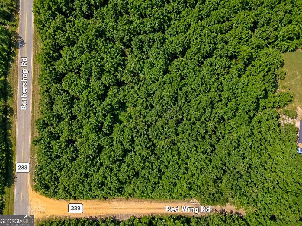 0.90 ACRE Barber Shop RD Unadilla, GA 31091