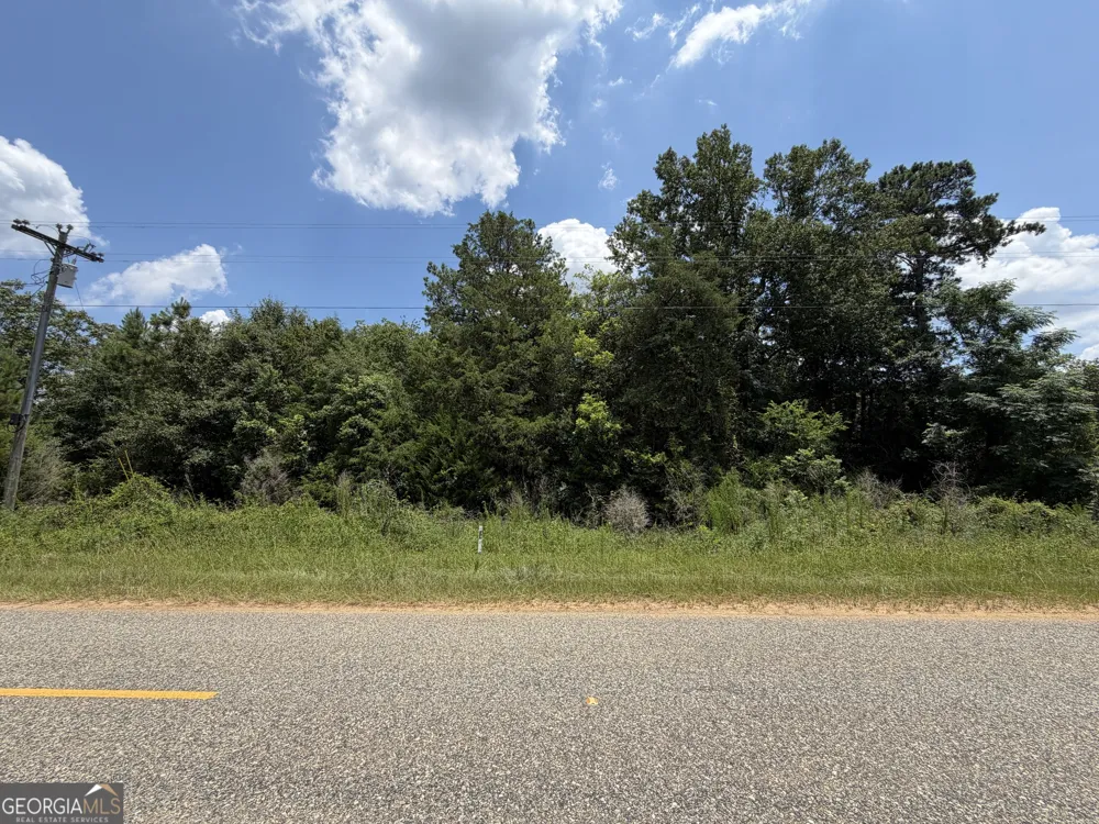 0.90 ACRE Barber Shop RD Unadilla, GA 31091