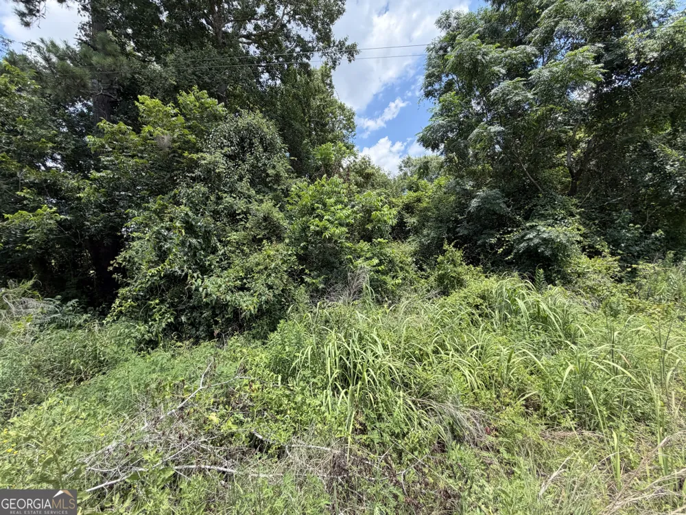 0.90 ACRE Barber Shop RD Unadilla, GA 31091