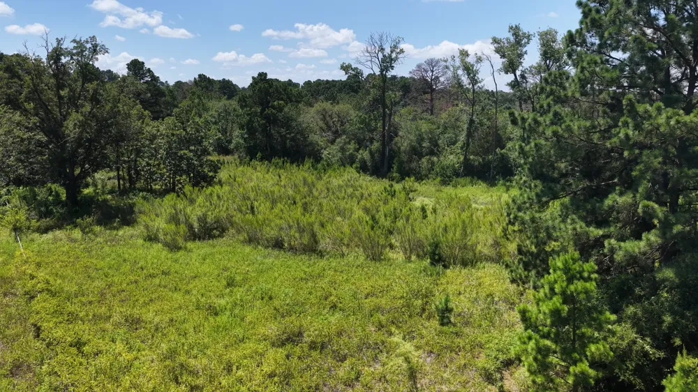 379 Matthew Cove Bastrop, TX 78602