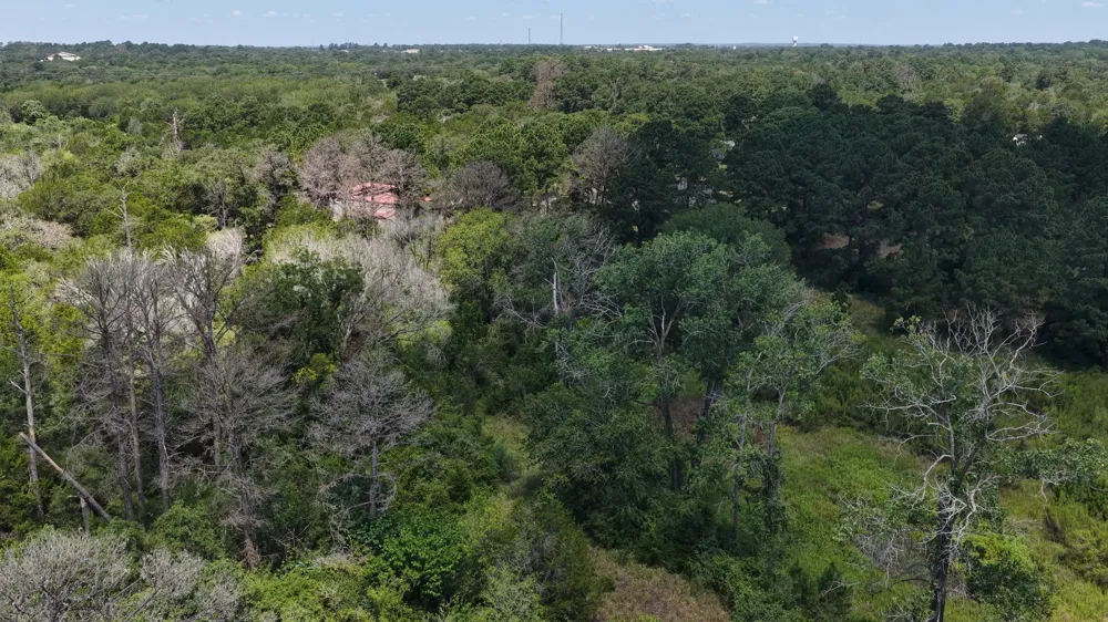 379 Matthew Cove Bastrop, TX 78602