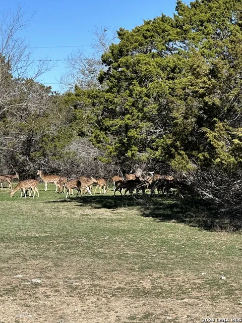 0 Deerwood