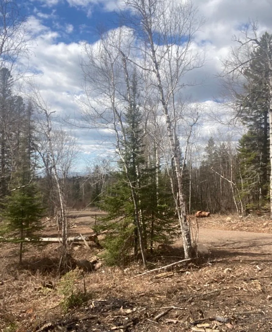 000 Aspen Lane Silver Bay, MN 55614