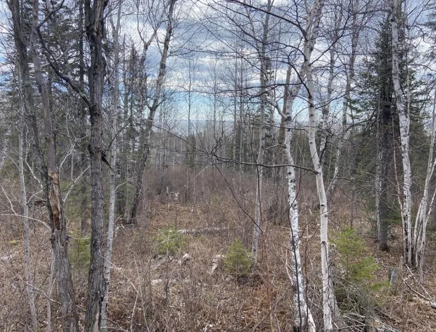 000 Aspen Lane Silver Bay, MN 55614