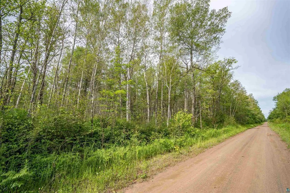 TBD XXX Digs Dr Wright, MN 55798