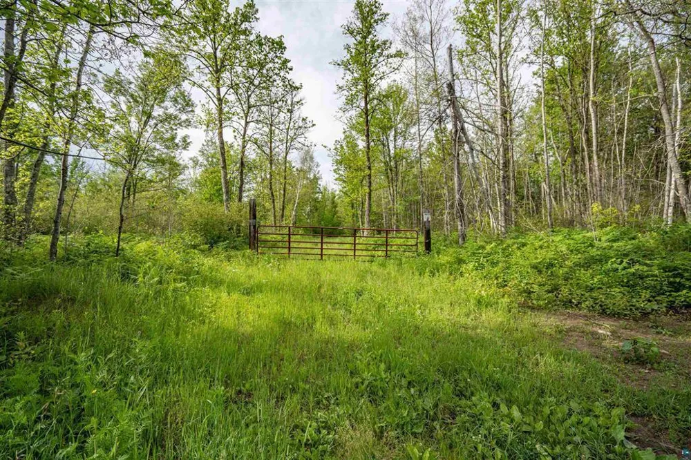 TBD XXX Digs Dr Wright, MN 55798
