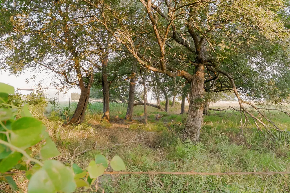 County Road 429 Rockdale, TX 76567