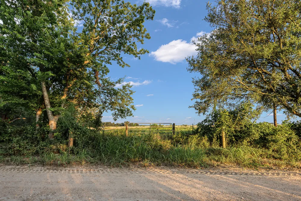 County Road 429 Rockdale, TX 76567