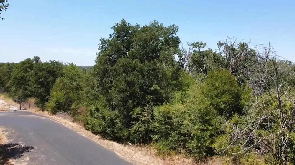 20900 Trappers Trail Manor, TX 78653