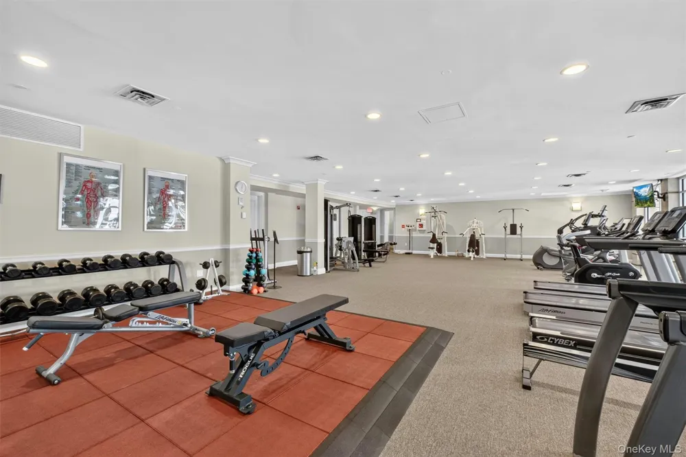 436 Trump Park Shrub Oak, NY 10588