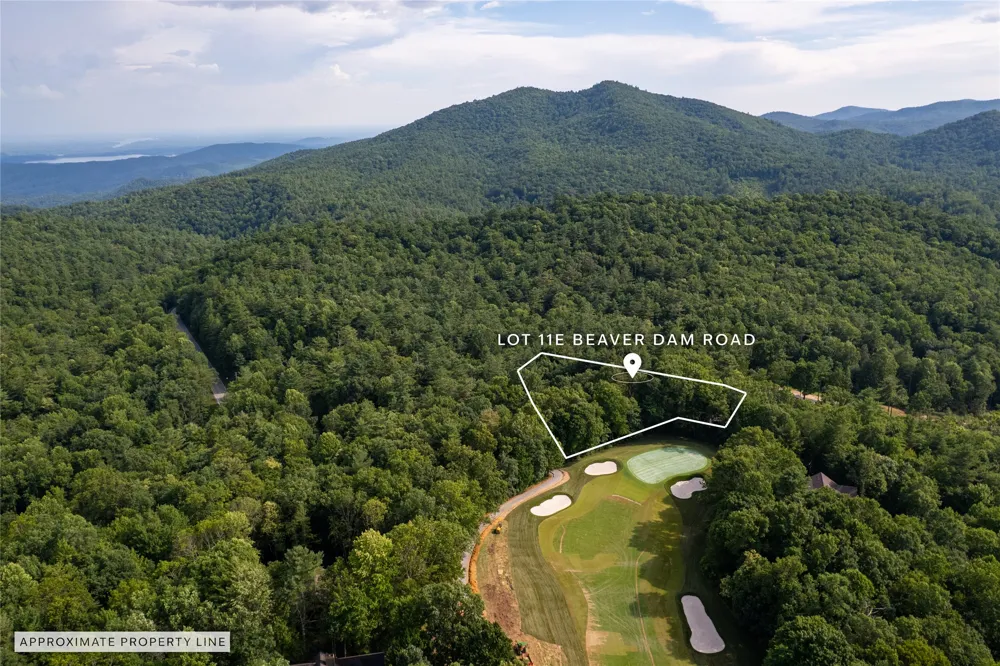 11ER Beaver Dam Road Sapphire, NC 28774