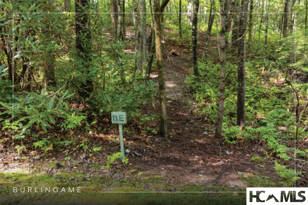 11ER Beaver Dam Road Sapphire, NC 28774