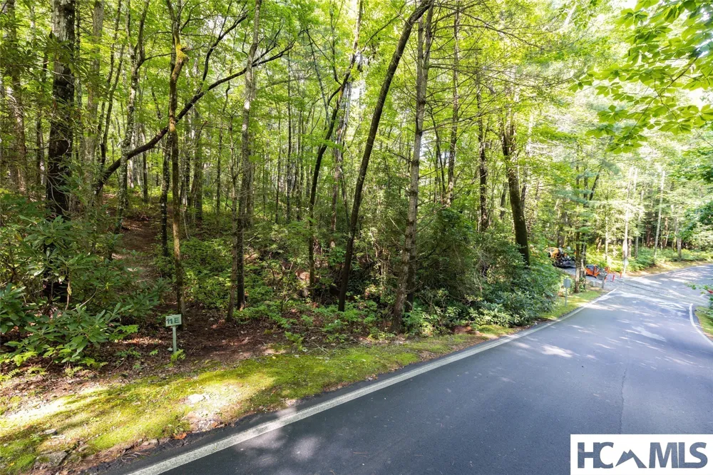 11ER Beaver Dam Road Sapphire, NC 28774