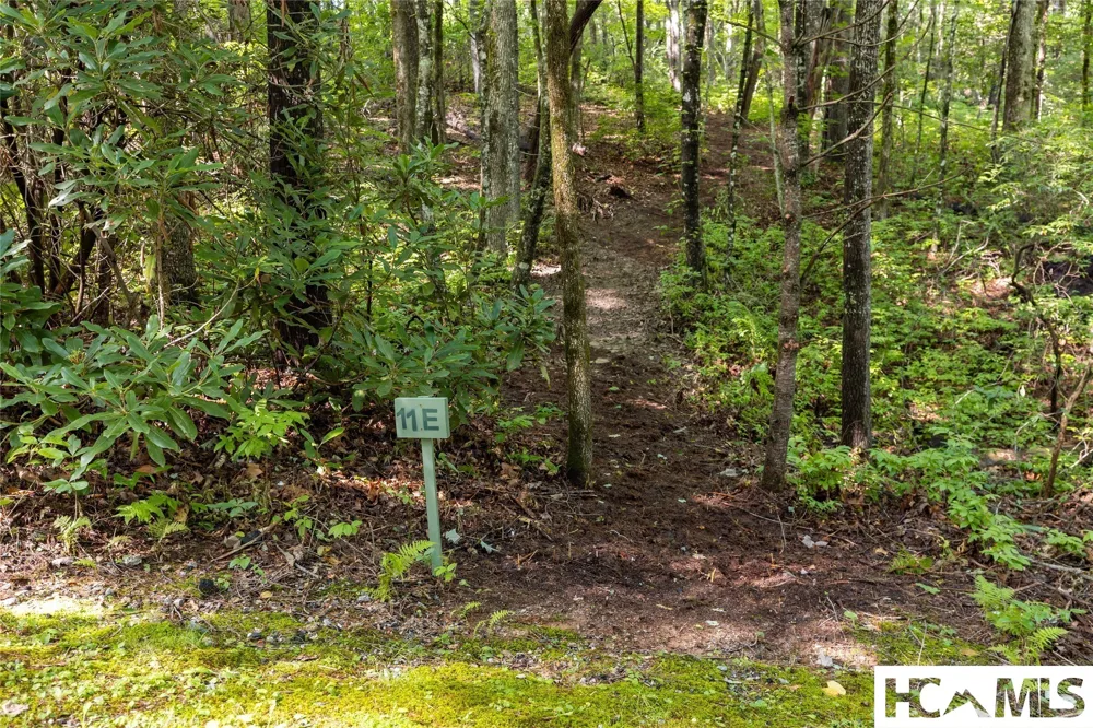 11ER Beaver Dam Road Sapphire, NC 28774