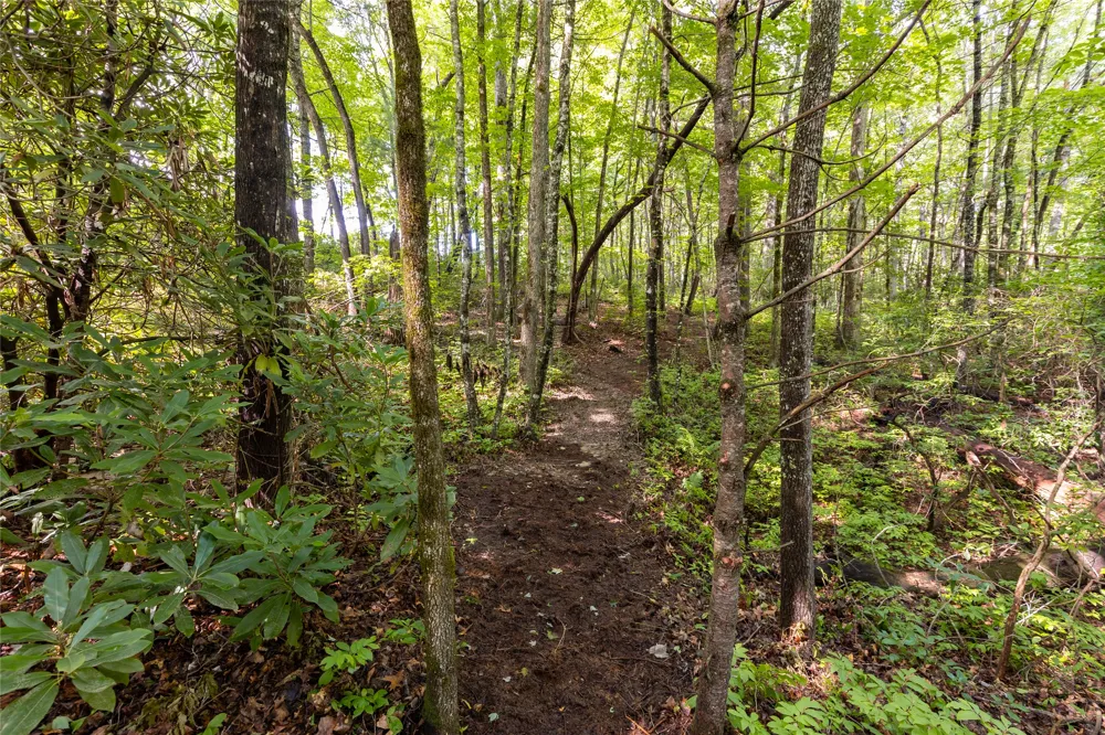 11ER Beaver Dam Road Sapphire, NC 28774