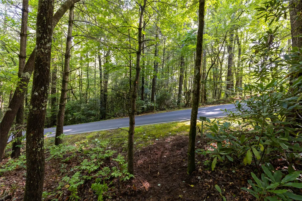11ER Beaver Dam Road Sapphire, NC 28774