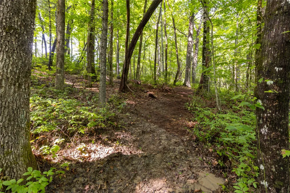 11ER Beaver Dam Road Sapphire, NC 28774
