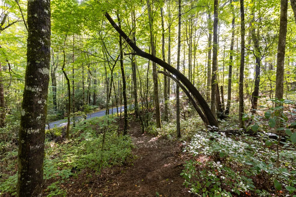 11ER Beaver Dam Road Sapphire, NC 28774