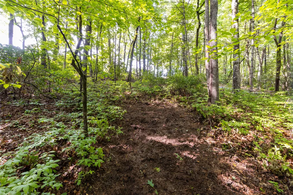11ER Beaver Dam Road Sapphire, NC 28774