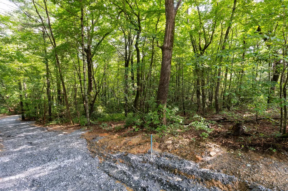 11ER Beaver Dam Road Sapphire, NC 28774