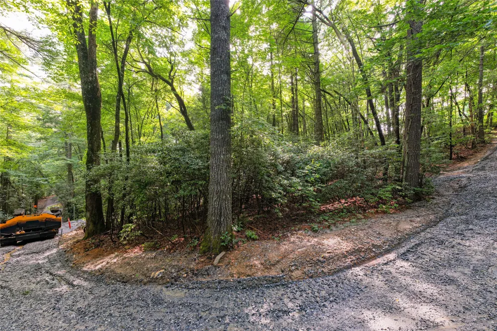 11ER Beaver Dam Road Sapphire, NC 28774