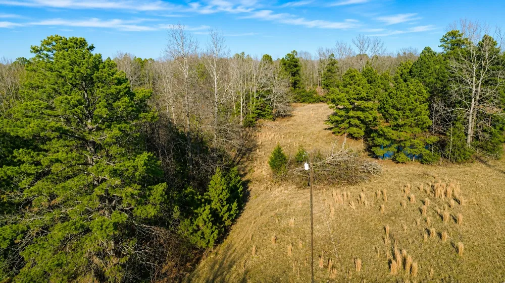 562 CR 4430 Winnsboro, TX 75494